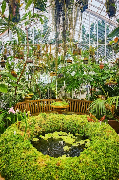 Фото Водяной фонтан внутри кольца моха с висящими растениями и фоном теплицы