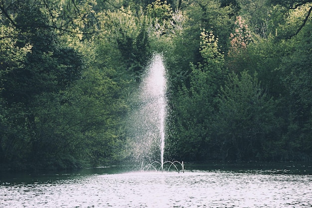 春の緑の日当たりの良い公共公園の自然の季節の背景にある噴水