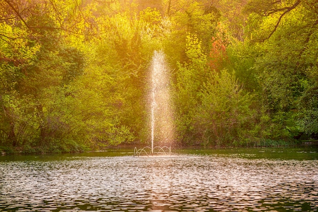 春の緑の日当たりの良い公共公園の自然の季節の背景にある噴水