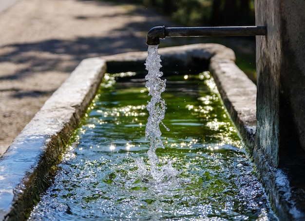 Foto una fontana con un gioco d'acqua verde sullo sfondo.