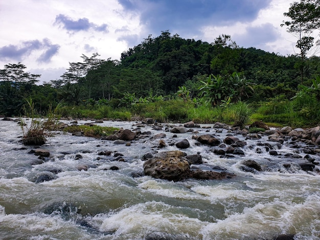 L'acqua di un lago sotto una cascata trabocca una roccia