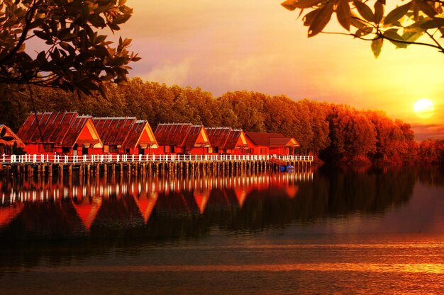 Water front hut in mangroves with sun set view landscape nature background