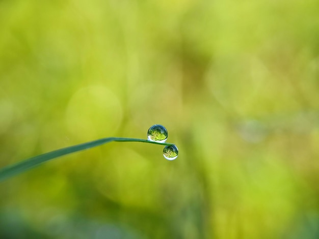 water frop macro photography