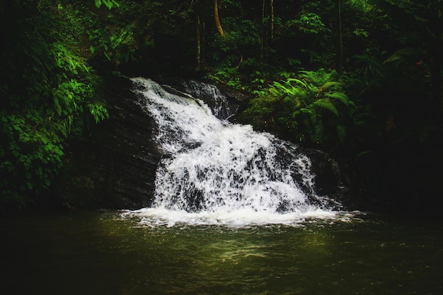 Photo water is the driver of nature