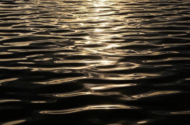 Вода настолько прозрачная, что на нее светит солнце.