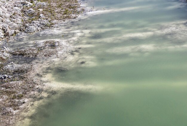 L'acqua è di un colore insolito sulla riva gessosa ricoperta di erba