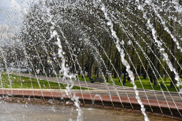 Water jets from a fountain in a summer green park.