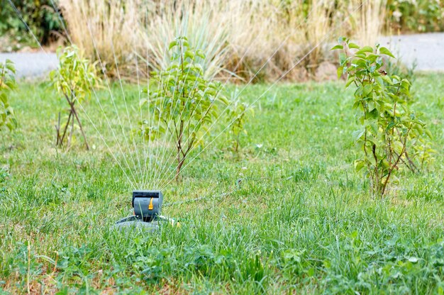 Photo water jets from a working sprayer watered young trees dry shrubs and the lawn in the young garden