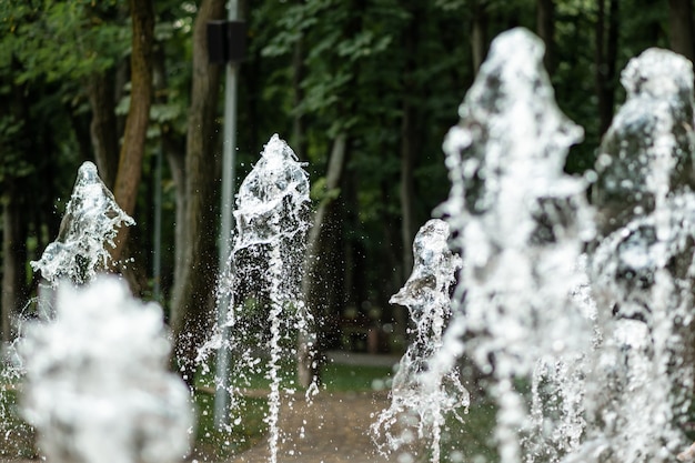 Струи воды фонтана на фоне зеленых деревьев в парке.