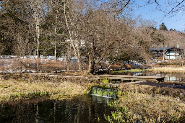 Water lake in karuizawa