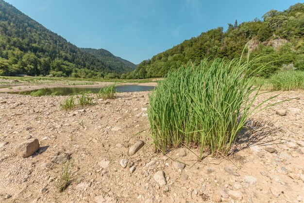 夏に山の湖の水位が下がる