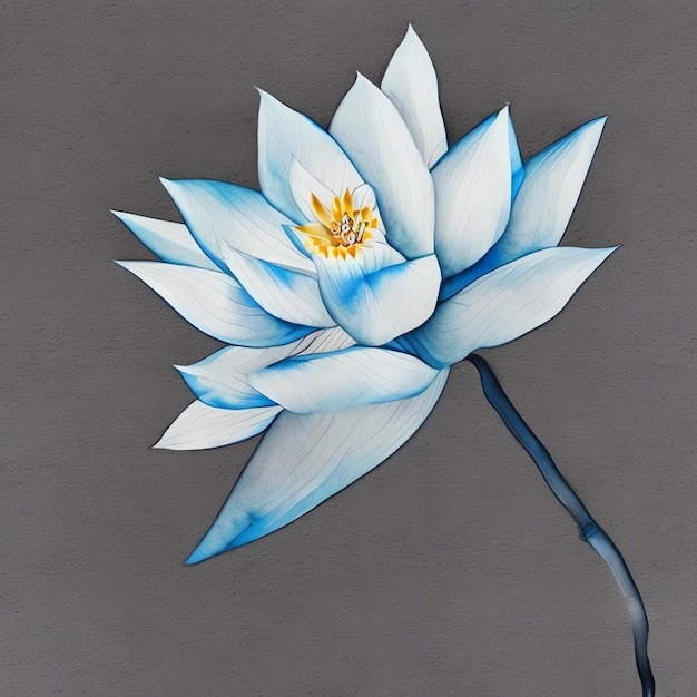 A water lily is painted on a gray background.