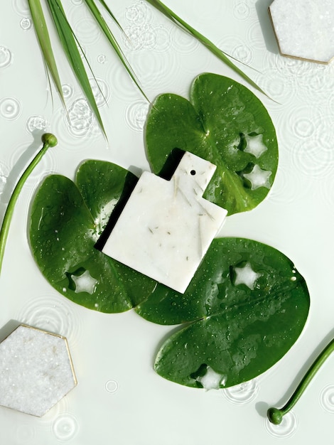 Water lily leaves and buds on off white background Water rings Mockup with place for product on marble board