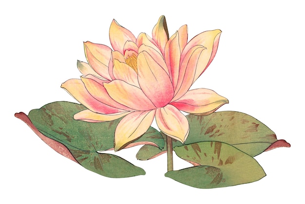water lily painting