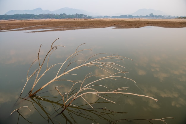 The water in the Mekong River has fallen to a critical level