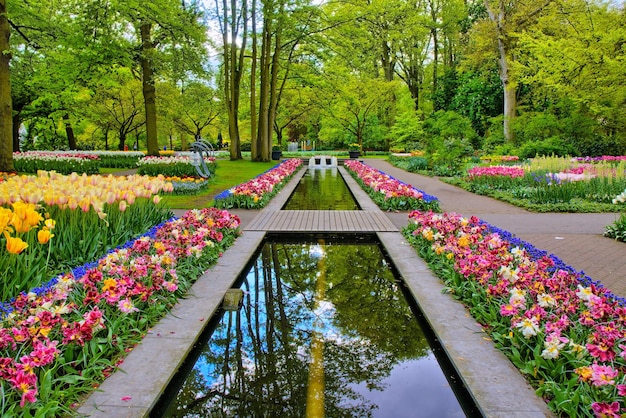 Water path surrounded by colorful tulips Keukenhof Park Lisse in Holland