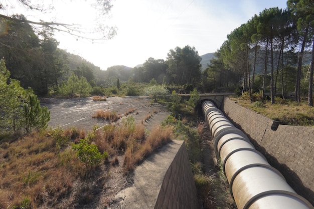 Photo a water pipe in a field with trees in the background