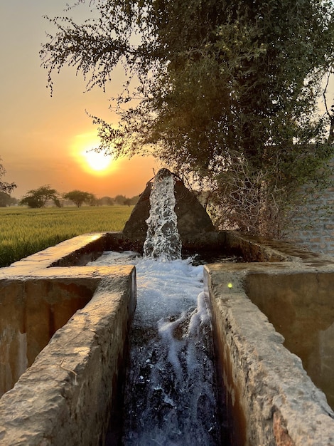 夕日を背景にした水道管