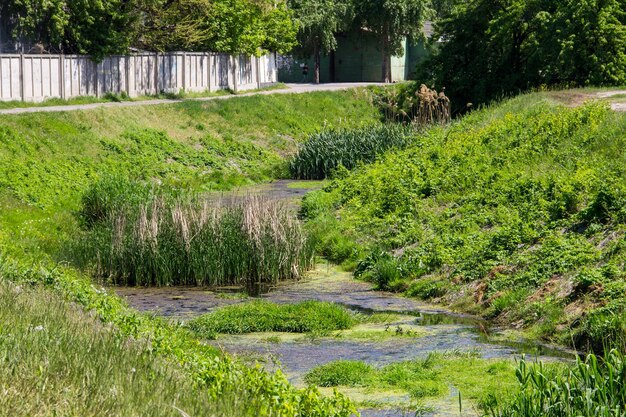 Загрязнение воды в городской реке