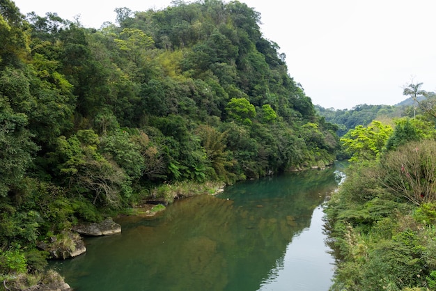 Photo water pond in shifen district