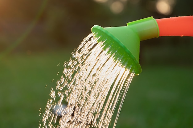 Water pouring from a watering can in the summer garden close up backlit with setting sun rays