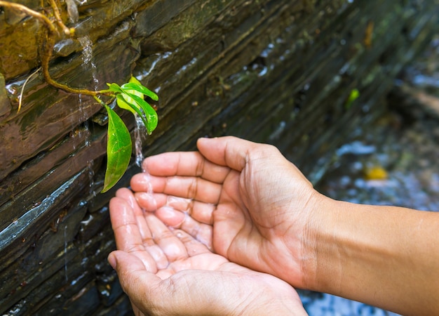 Вода наливает в руку малыша на фоне природы, проблемах окружающей среды