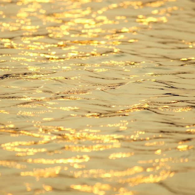 Water reflection at sunset