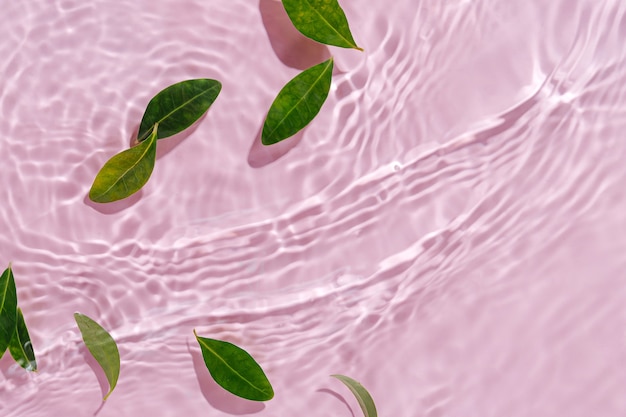 Water ripple with green leaves. Trendy pink background for cosmetic product presentation. Artistic concept. Copy space