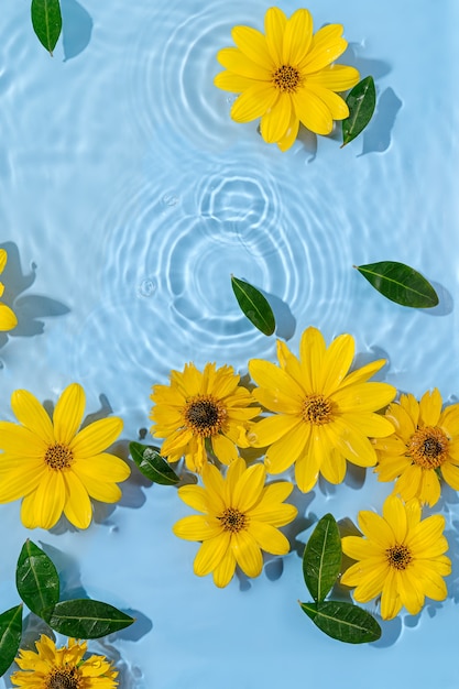 Foto increspatura dell'acqua con fiori gialli. sfondo alla moda per la presentazione di prodotti cosmetici. concetto artistico. copia spazio