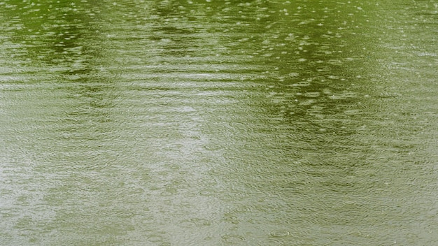 大雨で池の水面が波打つ