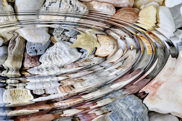 Water Ripples Above Sea Shells and Starfish