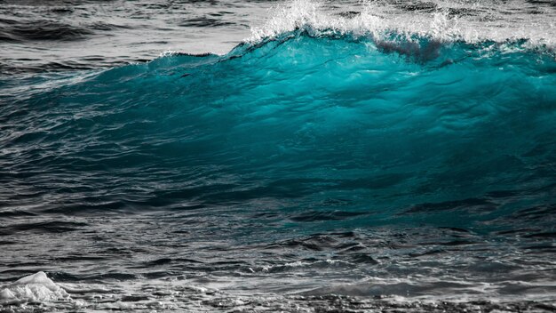 water sea beach landscape