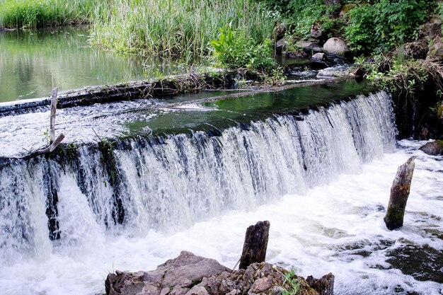 Water in a small waterfall in the forest