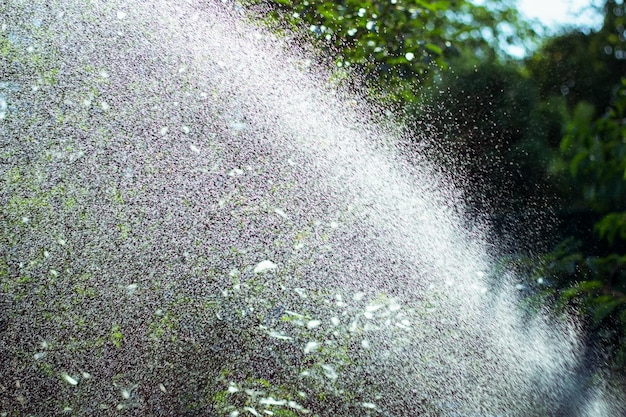 Water spatten uit water sprinkler Frisse zomer achtergrond Waterdrops