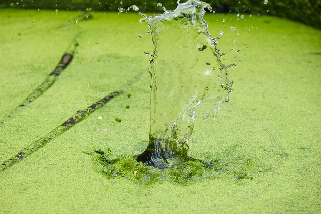 Водяной брызг в зеленой воде