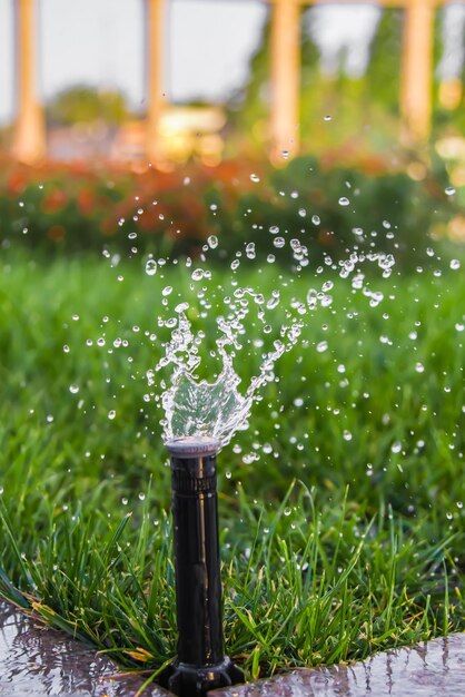 Water splash in motionSpringer watering plants