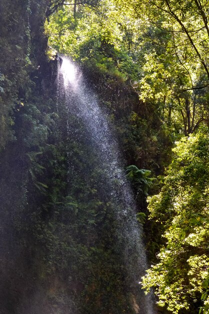 Photo water splash waterfall