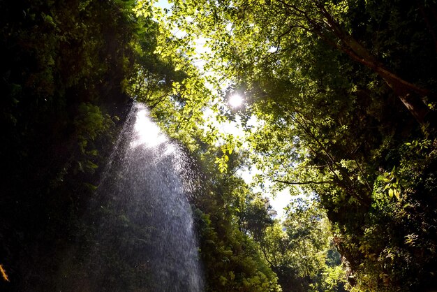 Photo water splash waterfall