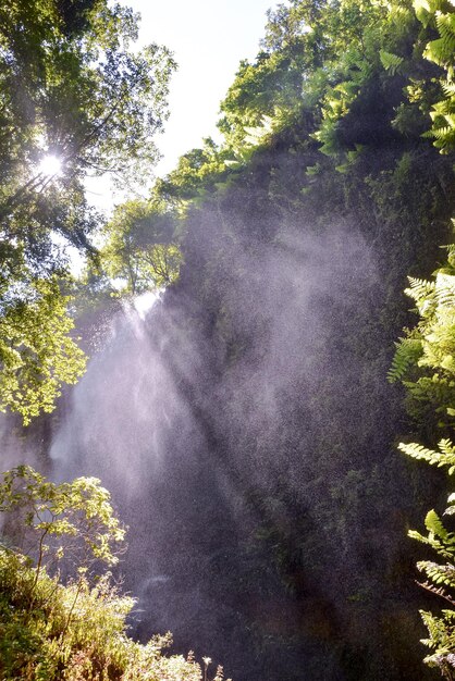 Photo water splash waterfall