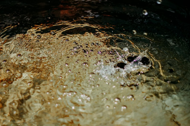 写真 コイ魚の池の水のスプラッシュ