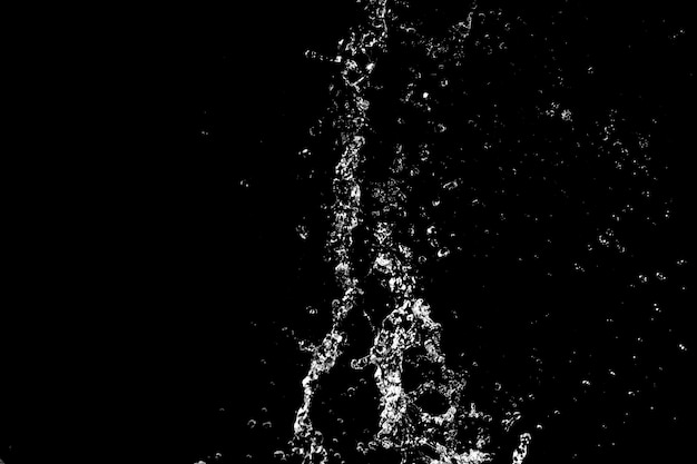 Water splashes isolated on black background white jets with drops