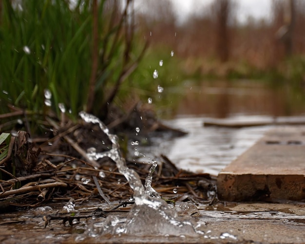 Water splashing by plants