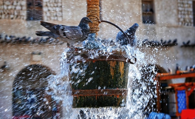 Foto acqua che spruzza sulla fontana