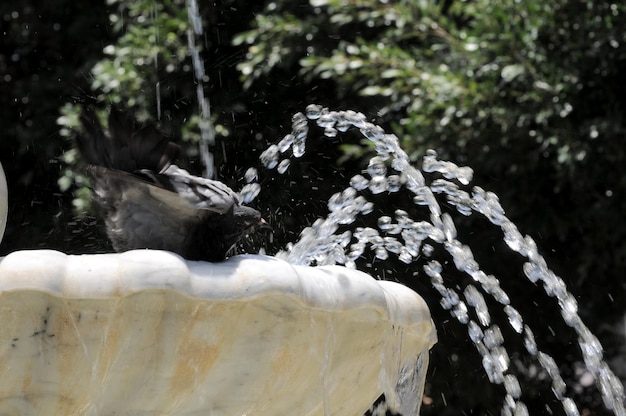 Water splashing out of a Marble Fountain