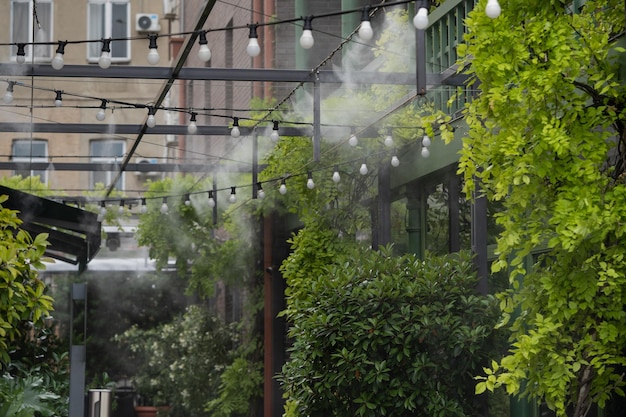 Water spray system to create a humidifier and cooling climate to reduce hot weather for plants