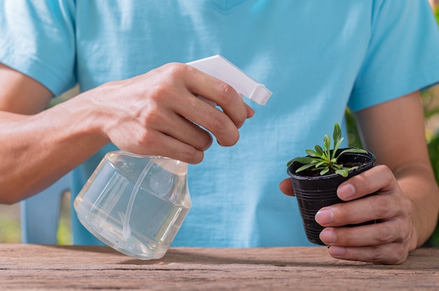 鉢植えの植物の水噴霧器。