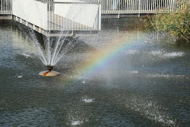 Foto acqua spruzzata da una fontana nel lago del parco