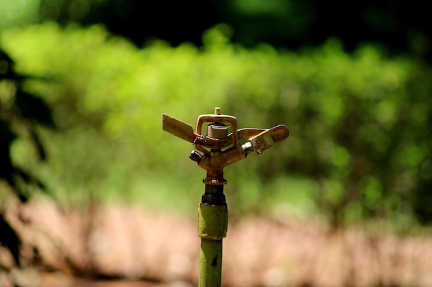 Water sprinkler in the garden