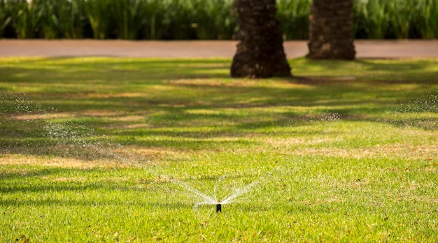 Water sprinkler in the park