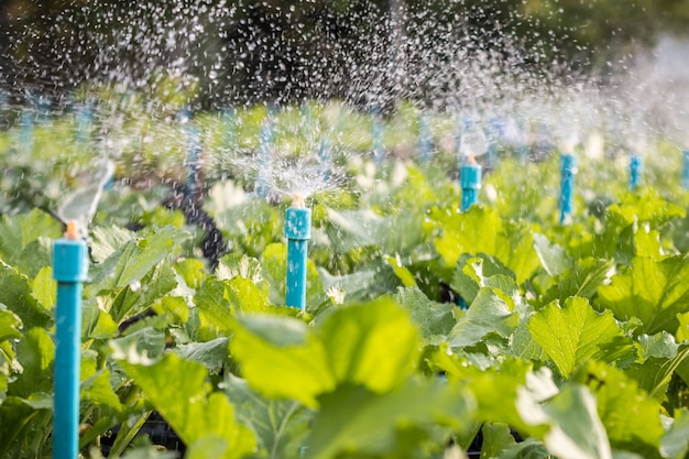 緑色の植物園で働くウォータースプリンクラーシステム。